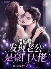 闪婚后发现老公是大佬小说