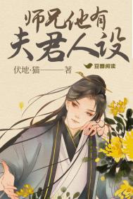 师兄他有夫君人设